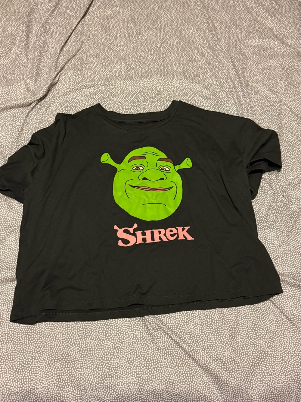 FREE W/ PURCHASE 💙 Black Shrek Graphic Tee